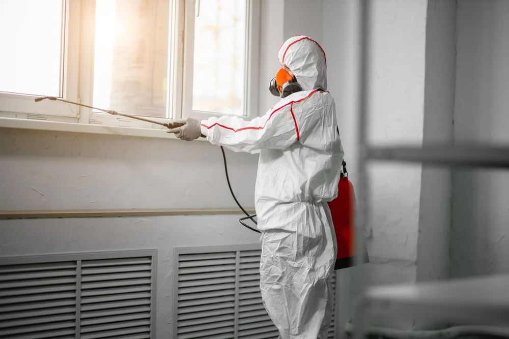 Professional mold remediation services in Easton, CT